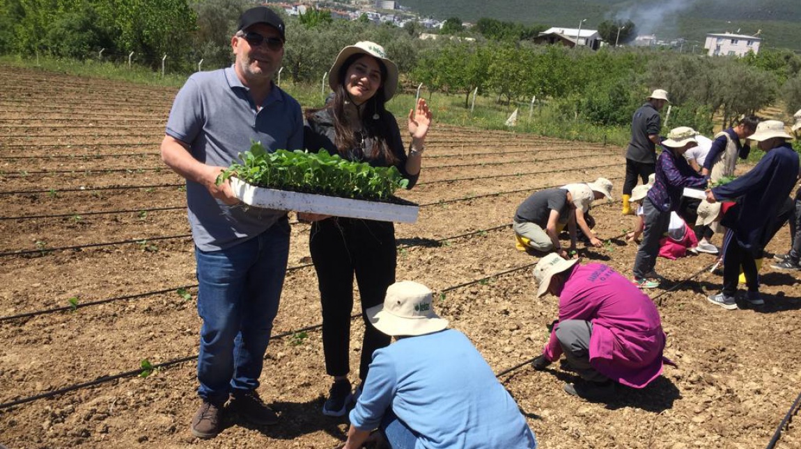 Engelsiz Tarım Projesi Biber, Patlıcan, Domates Fidesi Dikimi Yapıldı